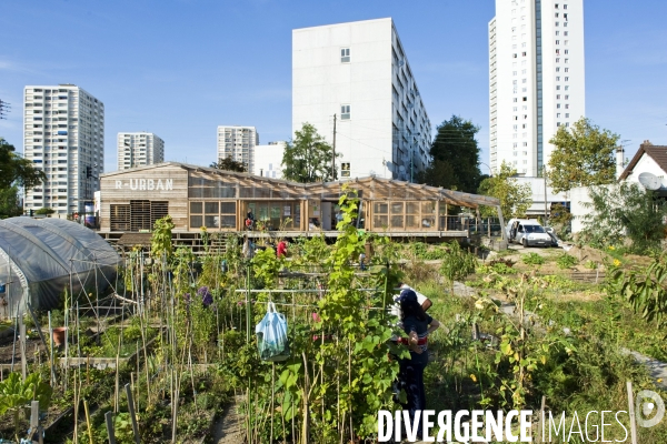 R Urban. Une ferme agro-ecologique participative a Colombes