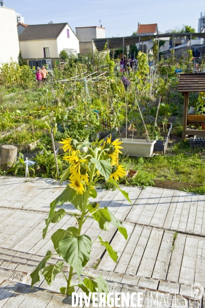 R Urban. Une ferme agro-ecologique participative a Colombes