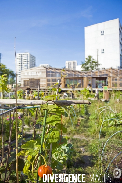 R Urban. Une ferme agro-ecologique participative a Colombes