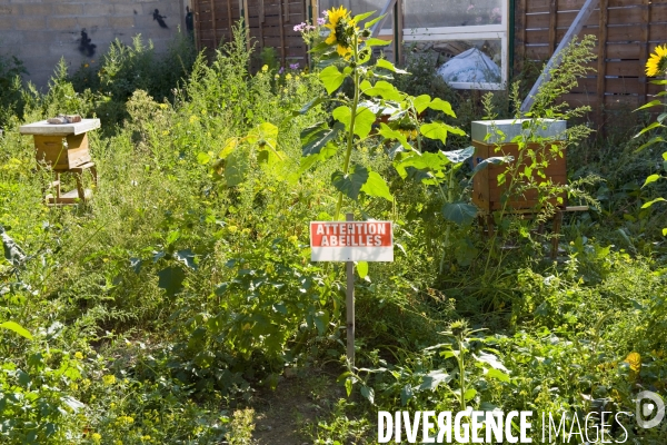 R Urban. Une ferme agro-ecologique participative a Colombes