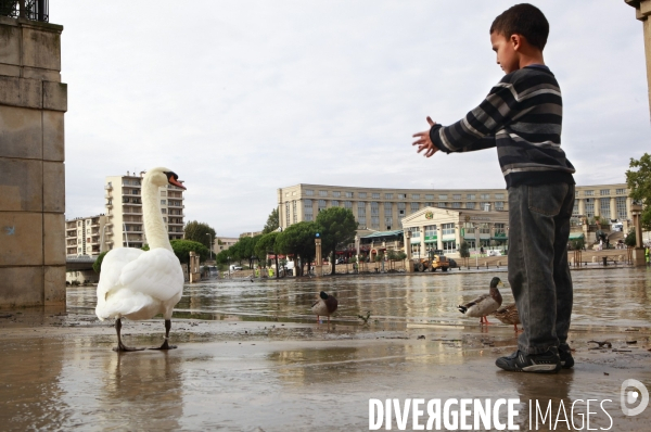 Montpellier, apres le deluge