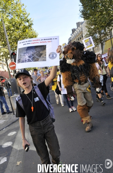 Manifestation pour la cause animale. Walk for the animals rights.