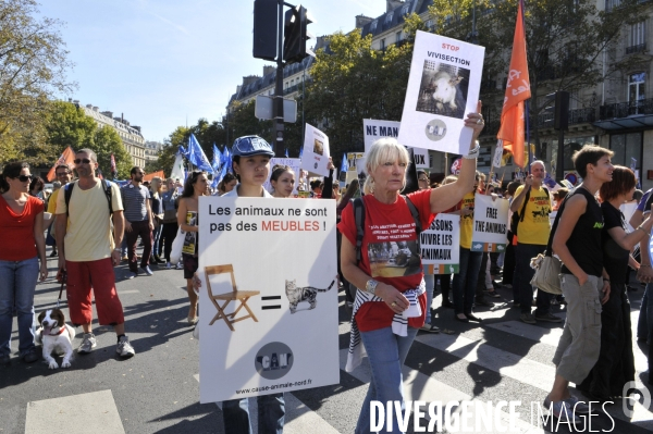 Manifestation pour la cause animale. Walk for the animals rights.