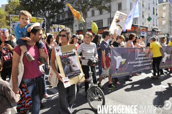 Manifestation pour la cause animale. Walk for the animals rights.