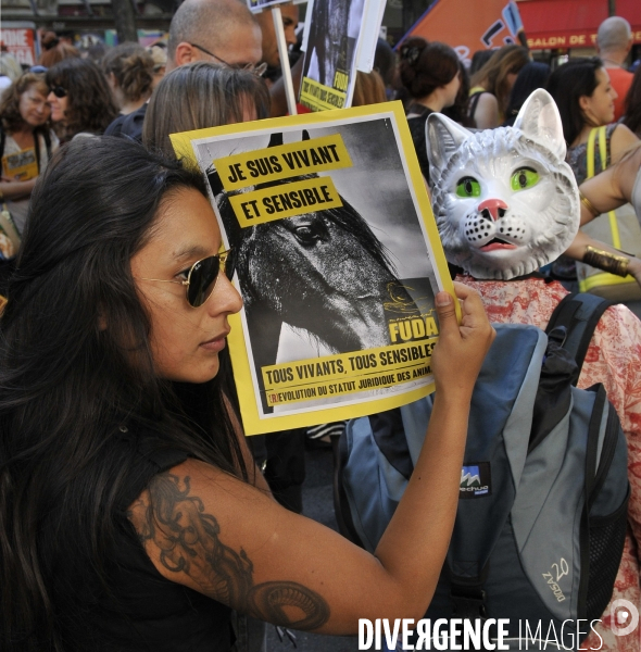 Manifestation pour la cause animale. Walk for the animals rights.