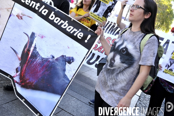 Manifestation pour la cause animale. Walk for the animals rights.