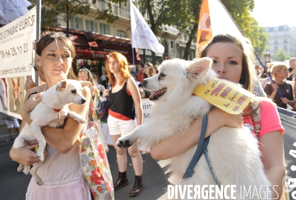 Manifestation pour la cause animale. Walk for the animals rights.
