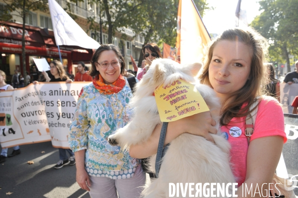 Manifestation pour la cause animale. Walk for the animals rights.