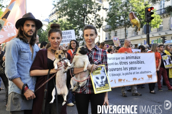 Manifestation pour la cause animale. Walk for the animals rights.