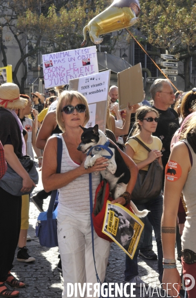 Manifestation pour la cause animale. Walk for the animals rights.