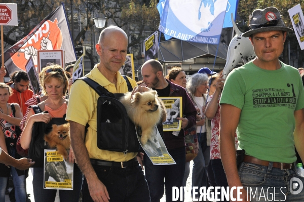 Manifestation pour la cause animale. Walk for the animals rights.