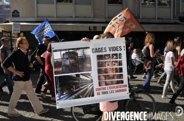 Manifestation pour la cause animale. Walk for the animals rights.