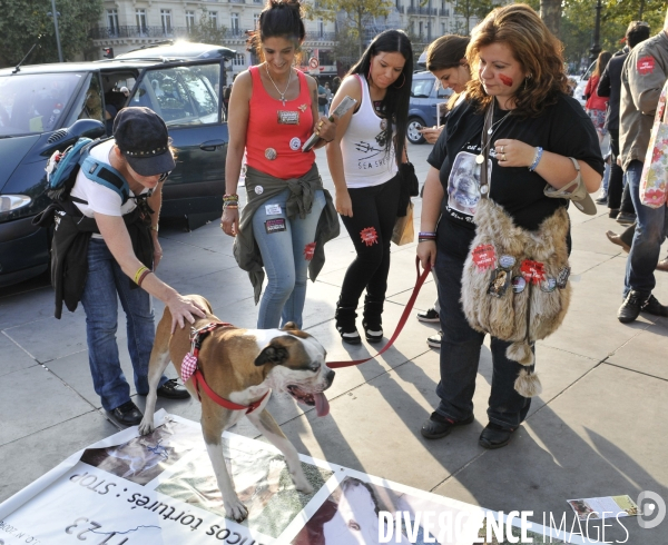 Manifestation pour la cause animale. Walk for the animals rights.