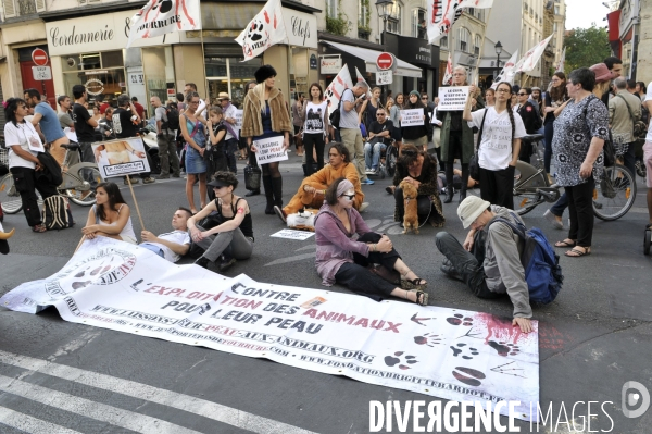 Manifestation pour la cause animale. Walk for the animals rights.