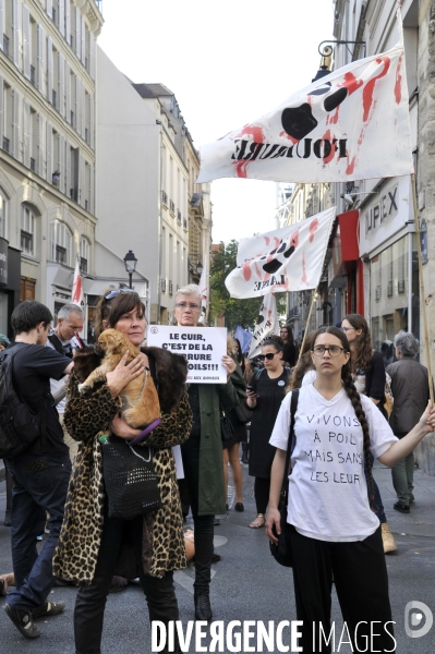 Manifestation pour la cause animale. Walk for the animals rights.