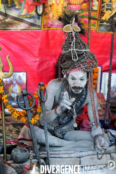 Kumbh Mela Hindu pilgrimage guru and sadhu 2013. Kumbh Mela hindou pèlerinage gourou et sadhu 2013,