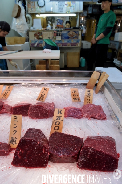 Le marché aux poissons Tsukiji de Tokyo