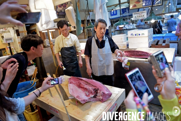 Le marché aux poissons Tsukiji de Tokyo