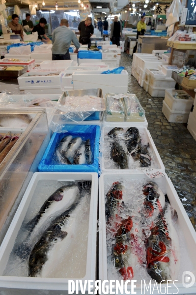 Le marché aux poissons Tsukiji de Tokyo