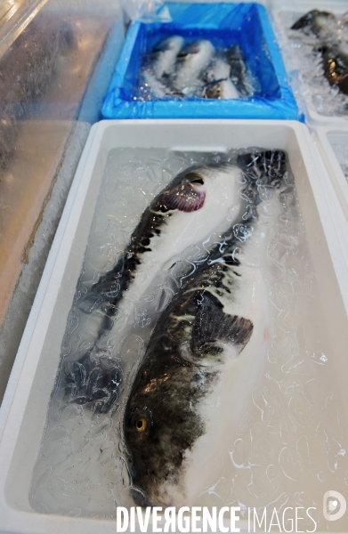 Le marché aux poissons Tsukiji de Tokyo