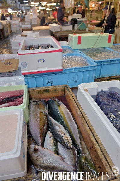 Le marché aux poissons Tsukiji de Tokyo