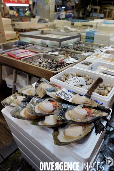 Le marché aux poissons Tsukiji de Tokyo