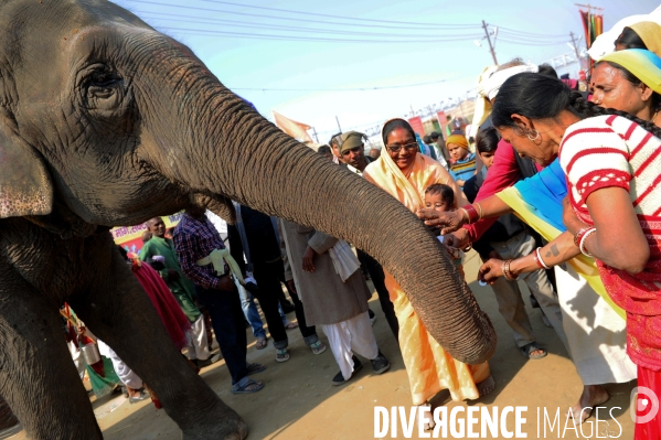 Kumbh Mela Hindu pilgrimage Ritual and worship 2013. Kumbh Mela hindou pèlerinage rituel et de culte 2013.