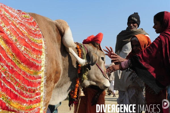 Kumbh Mela Hindu pilgrimage Ritual and worship 2013. Kumbh Mela hindou pèlerinage rituel et de culte 2013.