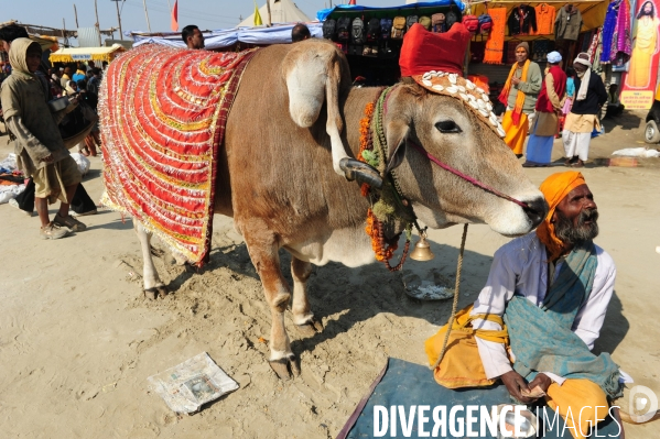 Kumbh Mela Hindu pilgrimage Ritual and worship 2013. Kumbh Mela hindou pèlerinage rituel et de culte 2013.