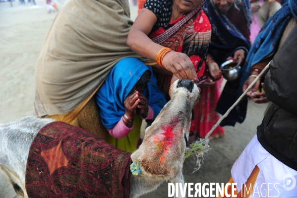 Kumbh Mela Hindu pilgrimage Ritual and worship 2013. Kumbh Mela hindou pèlerinage rituel et de culte 2013.