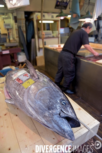 Le marché aux poissons Tsukiji de Tokyo