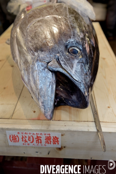 Le marché aux poissons Tsukiji de Tokyo