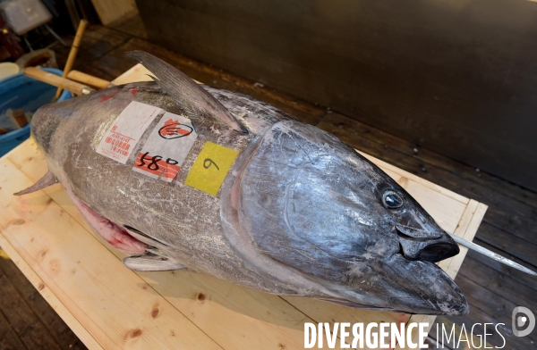 Le marché aux poissons Tsukiji de Tokyo