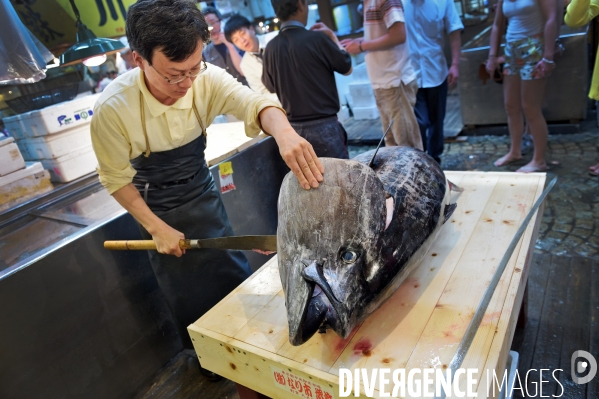 Le marché aux poissons Tsukiji de Tokyo