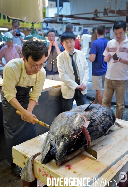 Le marché aux poissons Tsukiji de Tokyo