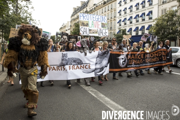 Marche mondiale pour la sauvegarde des animaux sauvages