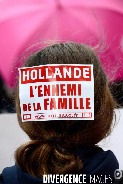 La Manif pour tous. The Demonstration For All.