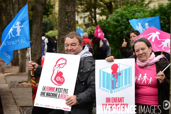 La Manif pour tous. The Demonstration For All.