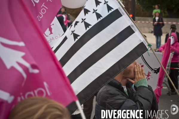 Paris :  la manif pour tous  du dimanche 5 octobre 2014