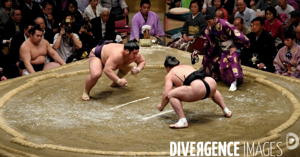 Tournoi de sumos de mai 2014 à Tokyo