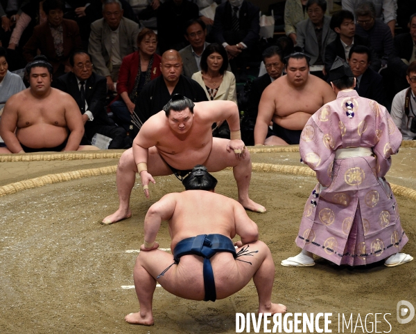 Tournoi de sumos de mai 2014 à Tokyo