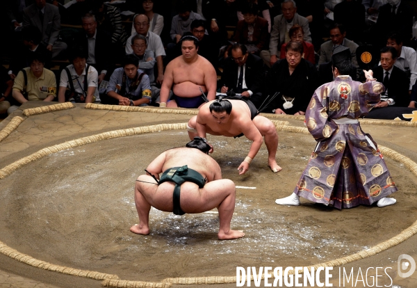 Tournoi de sumos de mai 2014 à Tokyo