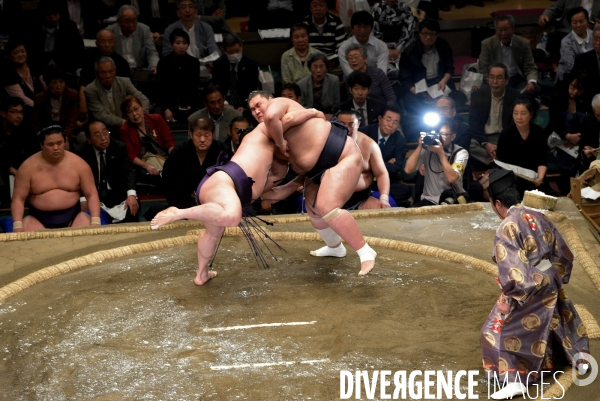 Tournoi de sumos de mai 2014 à Tokyo