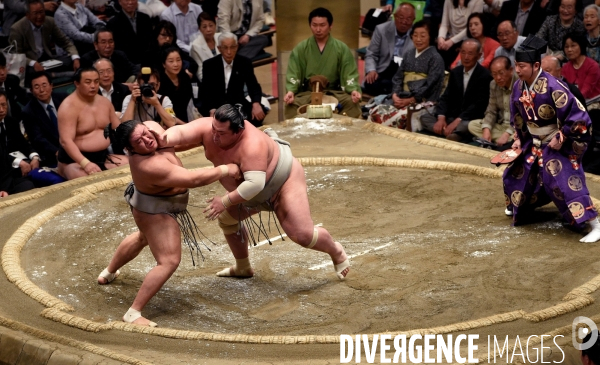 Tournoi de sumos de mai 2014 à Tokyo