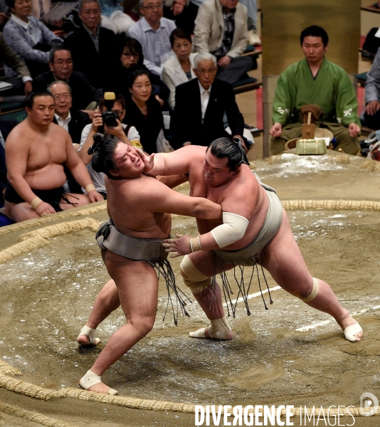 Tournoi de sumos de mai 2014 à Tokyo