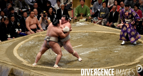 Tournoi de sumos de mai 2014 à Tokyo