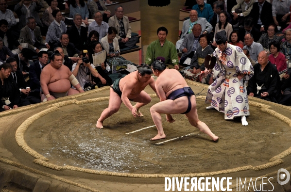 Tournoi de sumos de mai 2014 à Tokyo