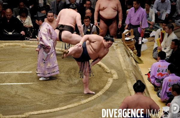 Tournoi de sumos de mai 2014 à Tokyo