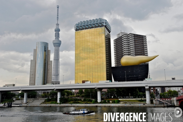 Tournoi de sumos de mai 2014 à Tokyo
