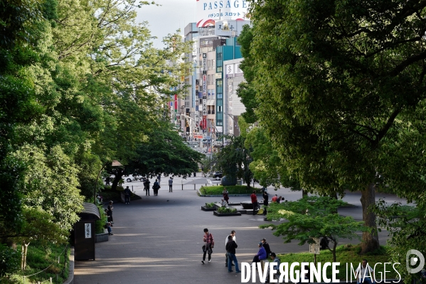 Tournoi de sumos de mai 2014 à Tokyo